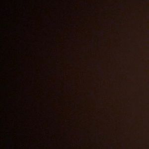 Meet your Posher, Zane